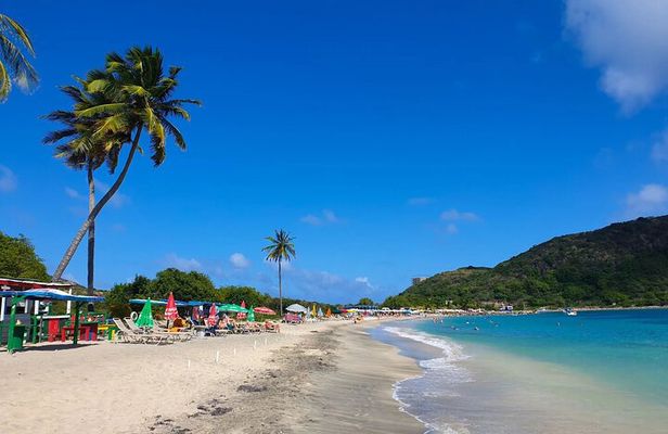 Capital City Tour and Beach Splash