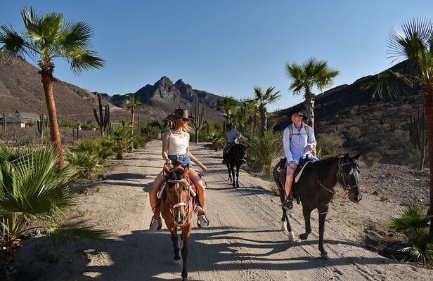 Horseback Riding to the beach.