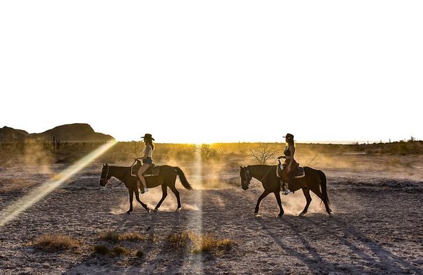 Morning or Sunset Horseback Riding with Breakfast or dinner incl.