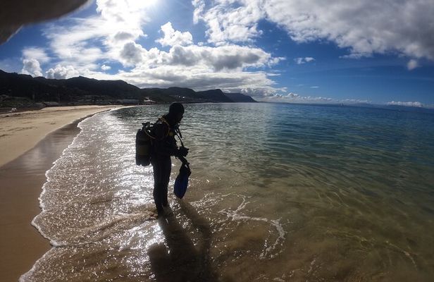 Beginner Scuba Diving Experience in Simonstown.