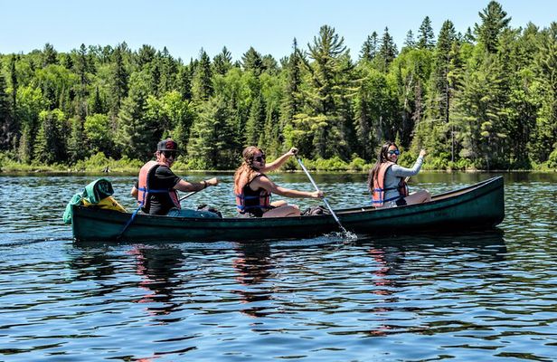 Algonquin Park Luxury 3-Day Camping & Canoeing: Moose/Beaver/Turtle Adventure