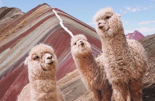 5 days tour to Machupicchu, Sacred Valley and Rainbow Mountain in small group