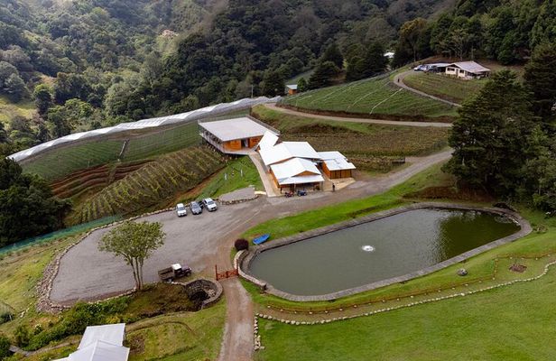 Wine Tour and Tasting