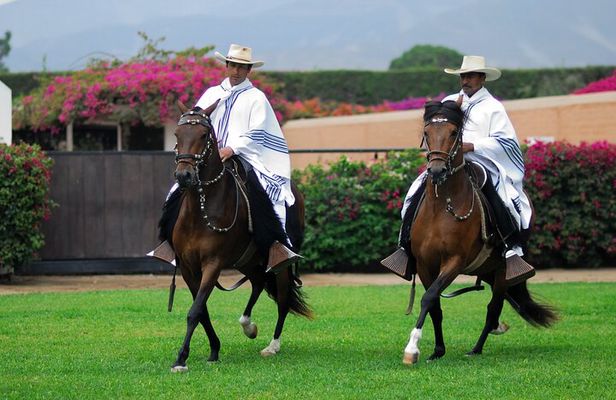 Private Experience Pachacamac, Peruvian Paso Horse Show & Artisan Store Full-Day