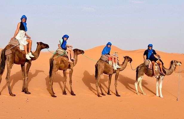 Tour from Ouarzazate to Vallee Du Draa and Dunes Of Tinfou