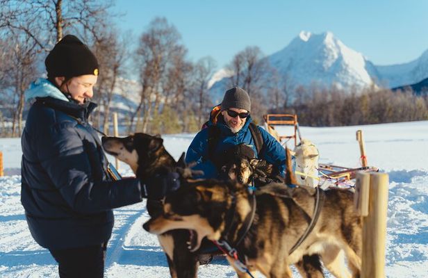Fun & Easy Dog Sledding Adventure - Noon Tour