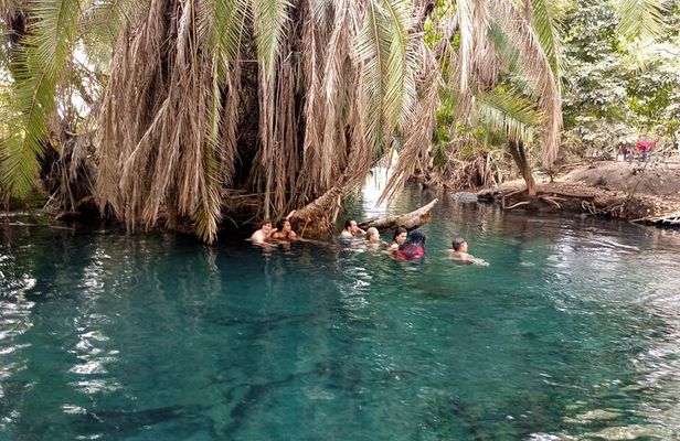 Private Tour to Materuni Waterfalls, coffee tour & Kikuletwa Hot Springs