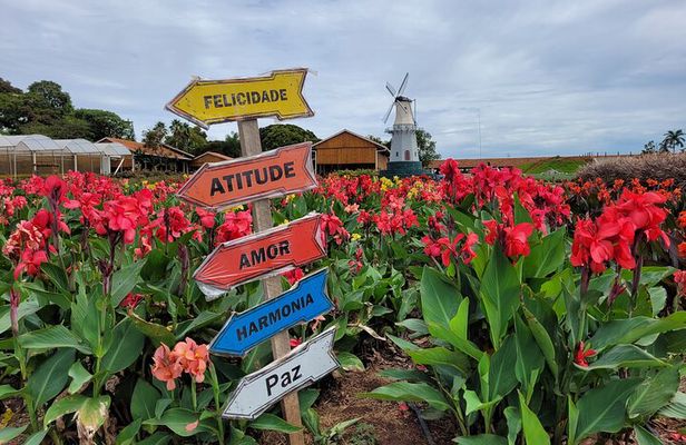 Holambra - The City of Flowers