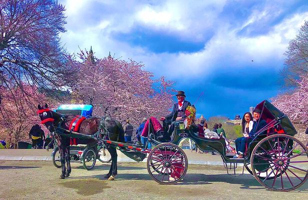 VIP Central Park Champagne Tour with Photos(50 min)~Skip the line