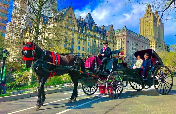  VIP Central Park Experience Tour with photos 50min~Skip the line