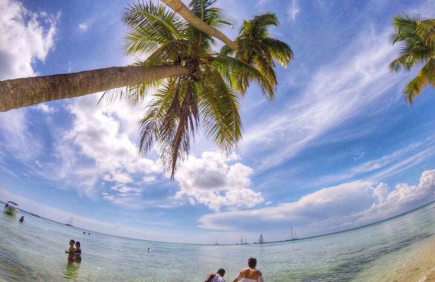 Isla Saona Daily Experience from Punta Cana with lunch