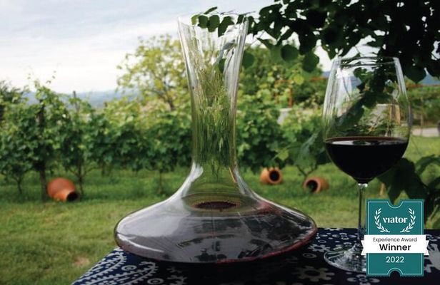 Full Day Private Wine Tour in Kakheti Region with Lunch and 3 Wine Tastings