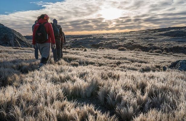 5.5-Hour Nat Park w/ Hiking *Shore Excursion* USHUAIA (Shared tour for cruises)