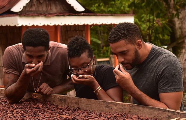 Private Chocolate Making Class 