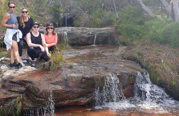 Pittwater Lunch Paddle with Waterfall Bush Walk