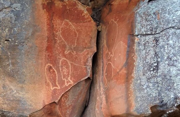 Cowan Creek Lunch paddle with Aboriginal rock art