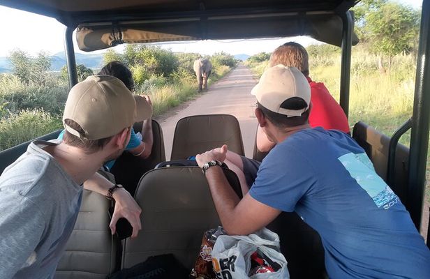 Pilanesberg national park tour-Open safari vehicle