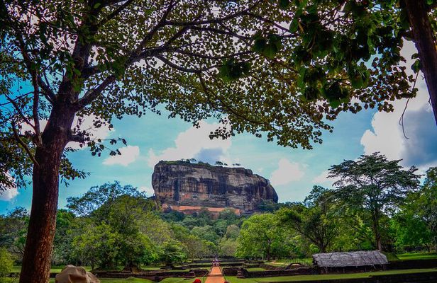 14-Day Private Tour in Sri Lanka