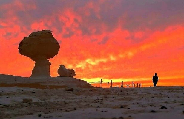 2-Day, 1-Night Camping Tour in White Desert with Cairo Pick Up