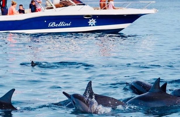Fully Day Tour: Dolphin Encounters, Crystal Rock at Benitiers Island