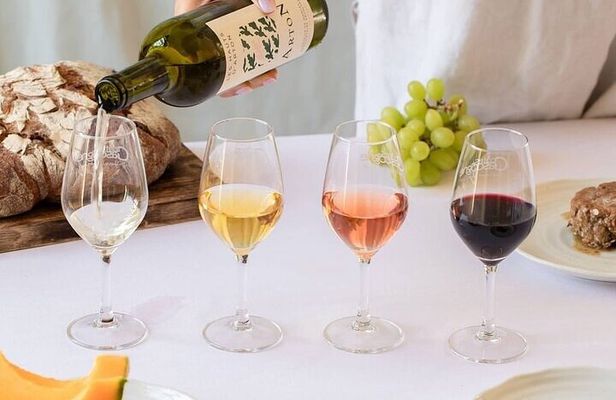 Visit and wine tasting: The Musketeers' wine