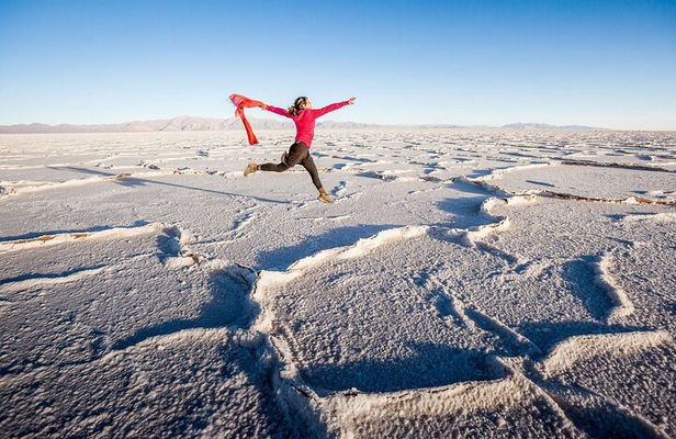 Full-Day Salinas Grandes Tour from Salta