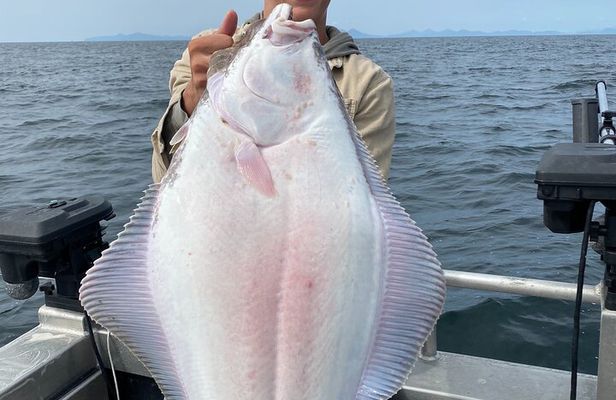 Ketchikan salmon fishing adventure