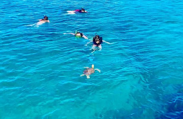 Full day Luxury Catamaran Turtle Snorkel and Beach Getaway