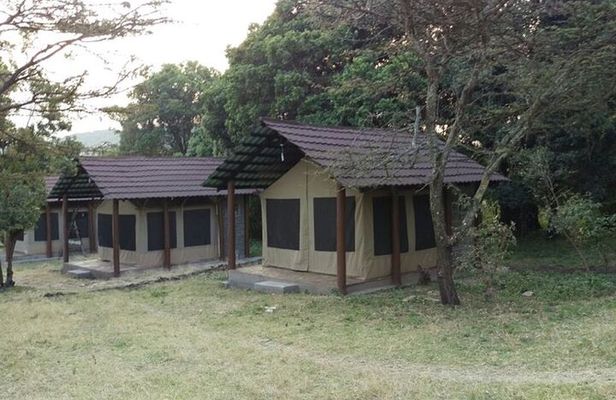 6 Days in Masai Mara Interactiv, Lake Nakuru and Amboseli