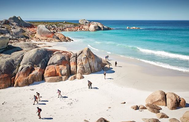 larapuna / Bay of Fires Hiking Tour - 4 Days