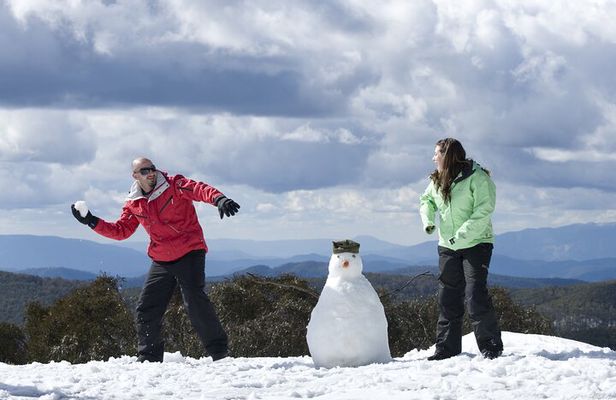 Full-Day Mount Buller Tour
