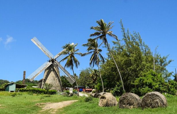 Barbados Shore Excursion: Bajan Highlights