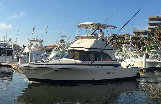 5-Hours Private Fishing Experience in Cruiser in Cabo San Lucas