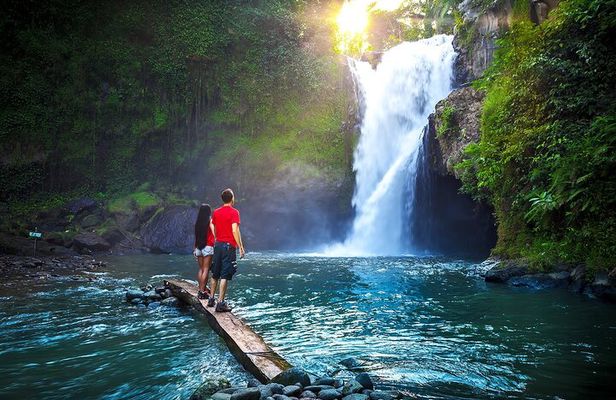 Private Tour: Waterfall, Kintamani Volcano, Ubud Tour with Lunch
