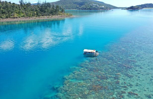 Airlie Beach Glass Bottom Boat Tour
