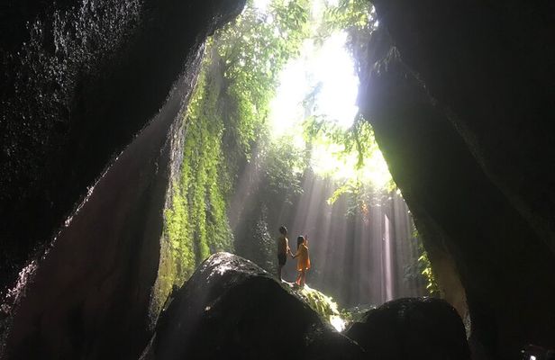 Private Tour : Bali Best Waterfalls, Temples and Monkey Forest 