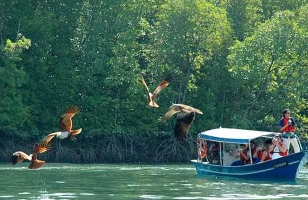Sharing Half Day Kilim Geoforest Park Mangrove Boat Tour