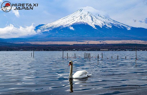 MT. FUJI/ Private Tour delivered and guided by a top-tier driver