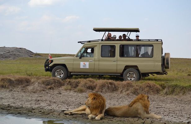 4 Days Serengeti Heritage Safari