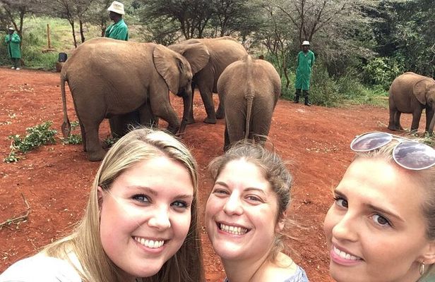 Elephant Orphanage, Giraffe Centre& optional Nairobi NationalPark