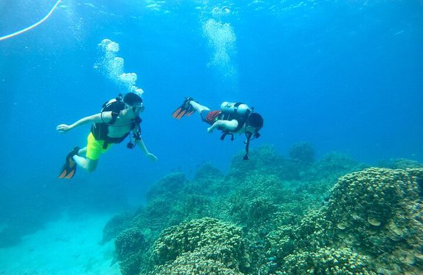  StandUp PaddleBoard Lesson and Experience Scuba Diving Package!