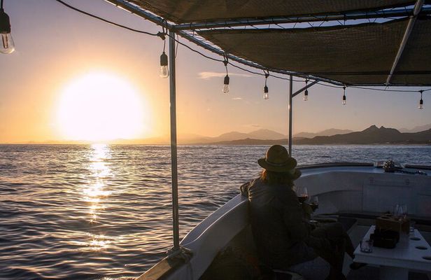 Wine Tasting Sunset Cruise Tour in San Jose del Cabo