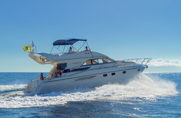Whales and Dolphins excursion on a Luxury Yacht in Canary Islands