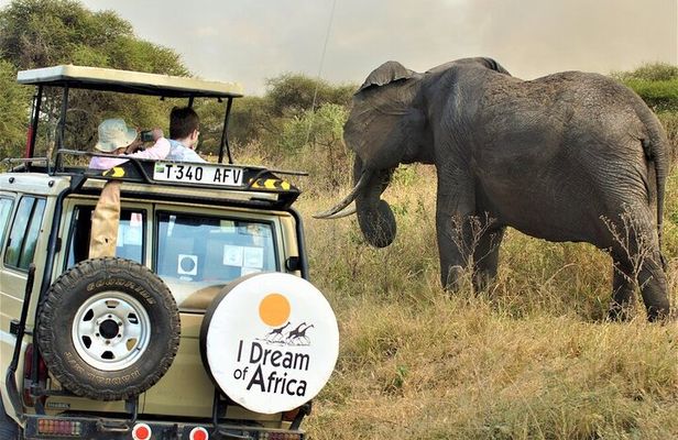 10-Day Amazing Comfort Camping Safari