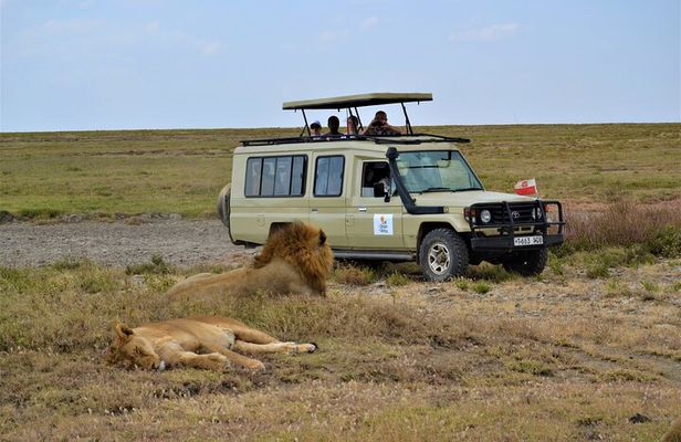 7-Day North Tanzania Classic Safari