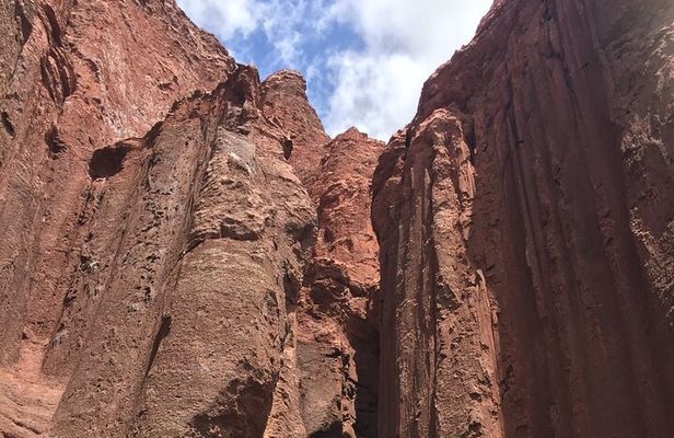 Excursion to Rainbow Valley and Petroglyphs, Yerbas Buenas