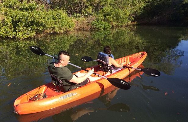 Tamarindo river guided kayak mangrove & environment watching tour in Guanacaste
