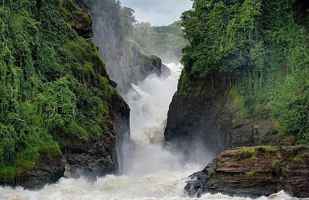 3-Day Private Tour and Safari Murchison Falls National Park