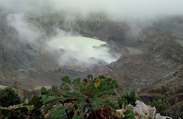 Poas Volcano waterfalls and coffee tour from from San Jose