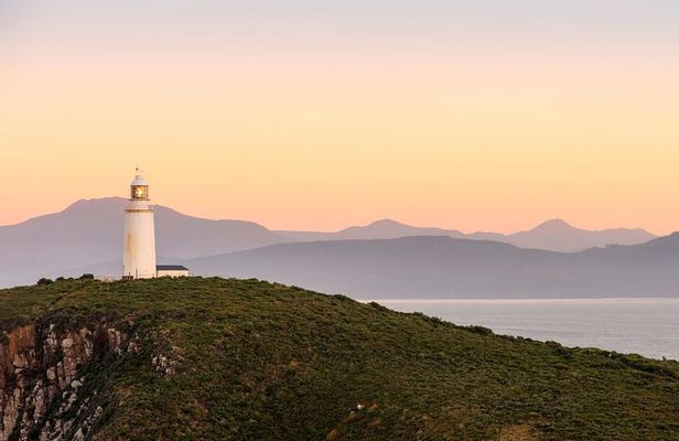 All inclusive Private Bruny Island Discovery Tour